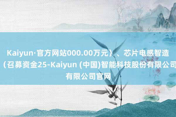 Kaiyun·官方网站000.00万元）、芯片电感智造形态（召募资金25-Kaiyun (中国)智能科技股份有限公司官网